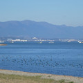 1044-2.jpg
