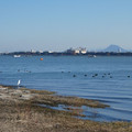 1044-3.jpg