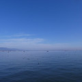 1047-1.jpg
