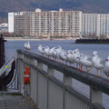 1048-3.jpg