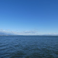 1049-1.jpg