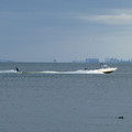 1050-1.jpg