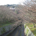 1051-1.jpg