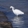 1053-3.jpg