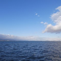 1056-2.jpg