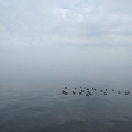 1061-2.jpg
