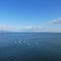 1063-1.jpg