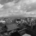 1064-1.jpg