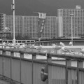 1064-2.jpg