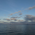 1067-3.jpg