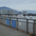 1068-1.jpg
