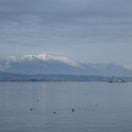 1068-2.jpg