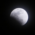 1100-1.jpg
