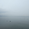 1100-3.jpg