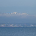 1101-2.jpg