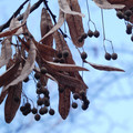 1102-1.jpg