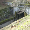 1102-3.jpg