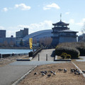 1105-1.jpg