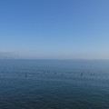 1108-1.jpg