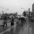 1109-1.jpg