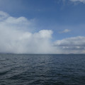 1110-2.jpg