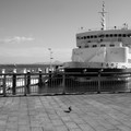 1111-1.jpg