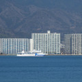 1113-2.jpg