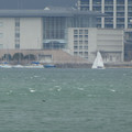 1116-2.jpg