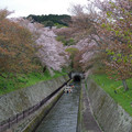 1163-1.jpg