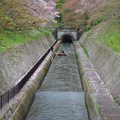 1164-2.jpg