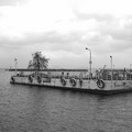 1165-3.jpg
