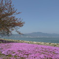 1168-1.jpg