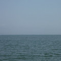 1168-3.jpg