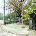 1174-1.jpg