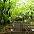 1174-2.jpg