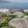 1174-3.jpg