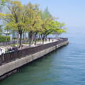 1177-2.jpg