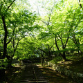 1179-1.jpg