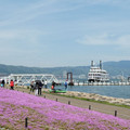 1180-2.jpg