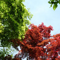 1180-3.jpg