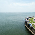 1181-1.jpg