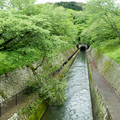1183-1.jpg