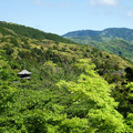1184-1.jpg
