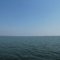 1186-1.jpg