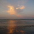 1283-1.jpg