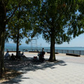 1284-3.jpg
