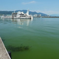 1286-1.jpg