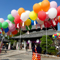 1287-2.jpg