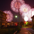 1289-1.jpg