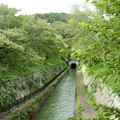 1290-2.jpg